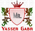   Yasser Gabr