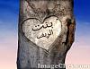     

:	sampad3bc12757895b38.jpg
:	32
:	22.8 
:	23259