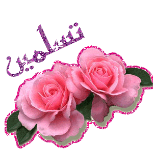 :	.gif
: 46
:	45.0 