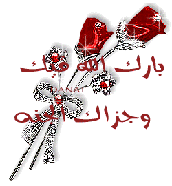 :	  .gif
: 25
:	51.3 