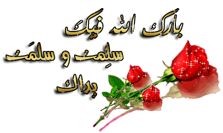 :	868686.gif
: 800
:	41.7 