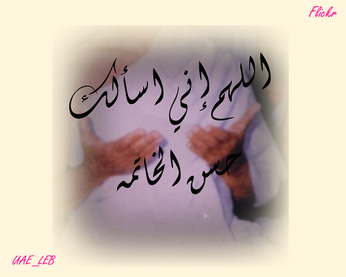:	315916849_7bfb92be31.jpg
: 62
:	53.1 