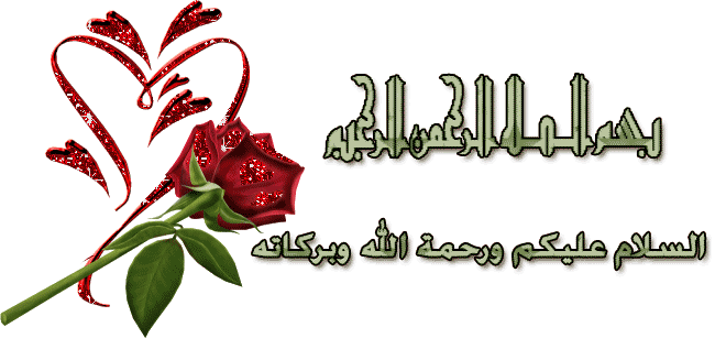 :	1223909066.gif
: 210
:	49.6 