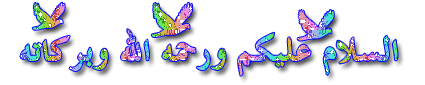 :	89979.imgcache.gif
: 28
:	29.4 