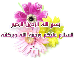 :	267195698.gif
: 186
:	48.0 