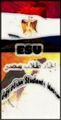   HoSSaM1994
